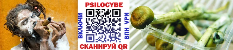 Псилоцибиновые грибы мицелий Иркутск
